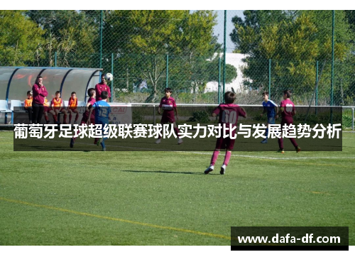 葡萄牙足球超级联赛球队实力对比与发展趋势分析